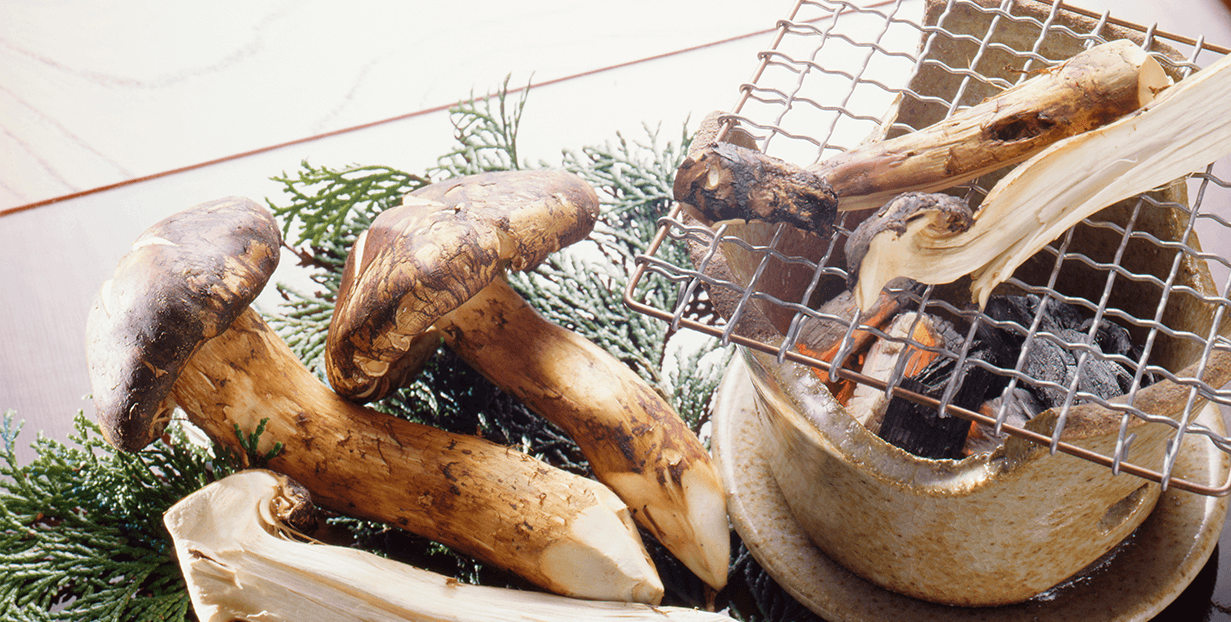 地元長野の新鮮な食材を使用