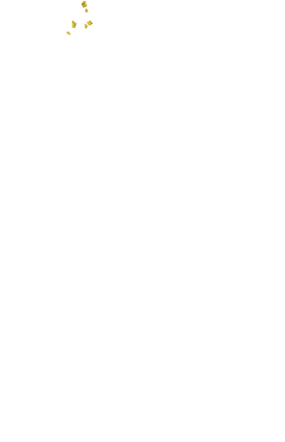object