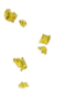 きんぱく